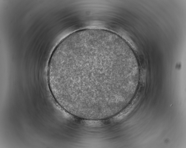 X0000099990856200806131433