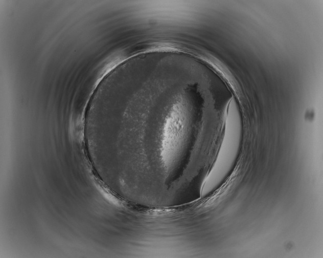 X0000099990858200806131433