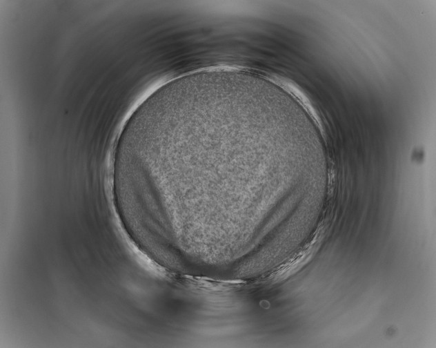 X0000099990859200806131433