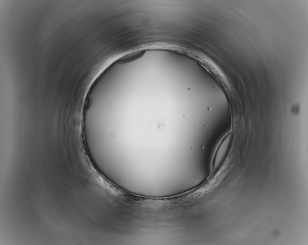 X0000099990860200806131433