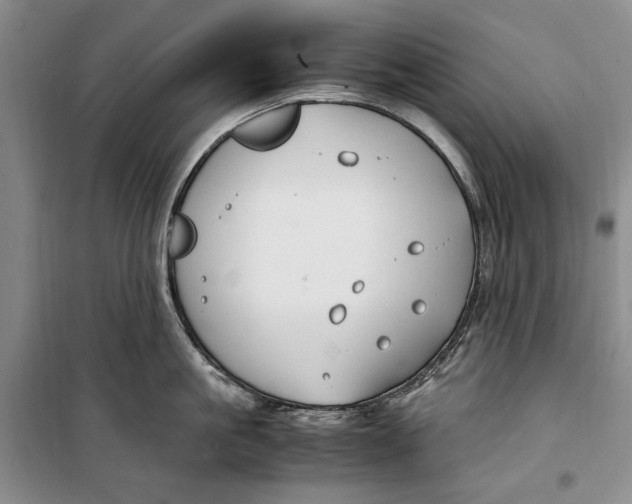 X0000099990861200806131433