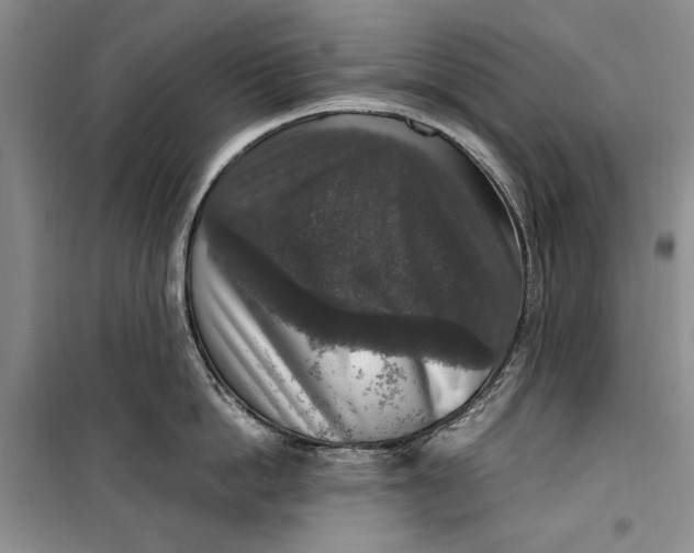 X0000099990862200806131433