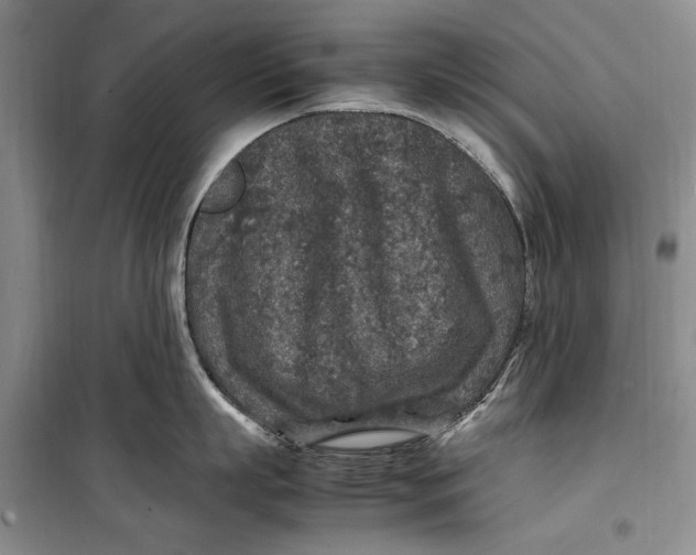 X0000099990863200806131433