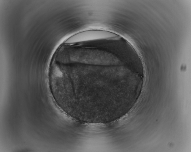 X0000099990864200806131433