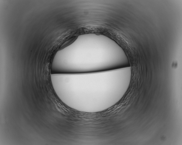 X0000099990868200806131432