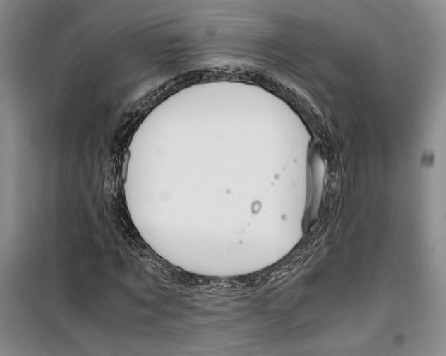 X0000099990869200806131432