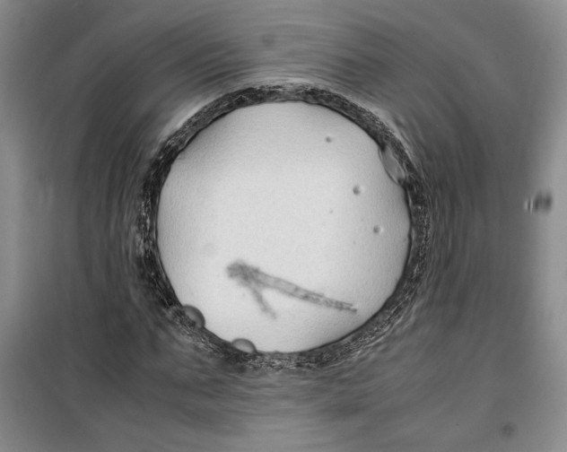 X0000099990871200806131432