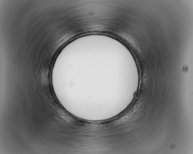 X0000099990873200806131432