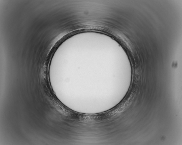 X0000099990875200806131432