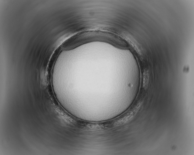 X0000099990876200806131432