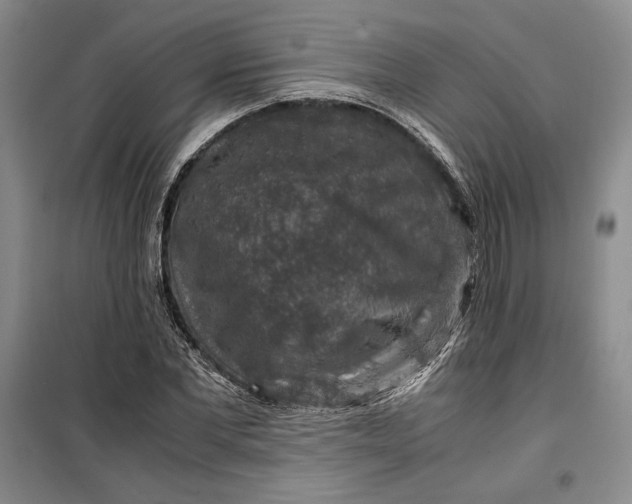 X0000099990877200806131432