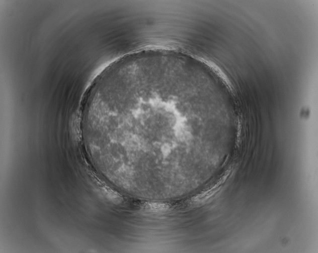 X0000099990878200806131432