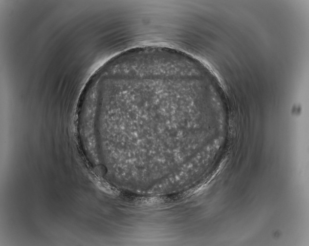 X0000099990879200806131432