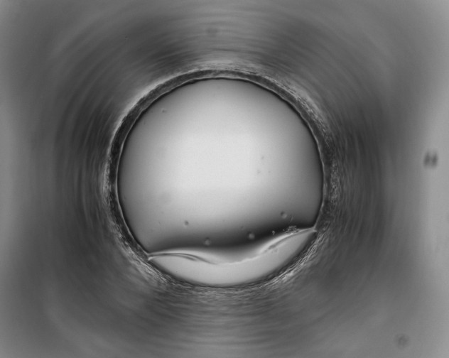 X0000099990880200806131432