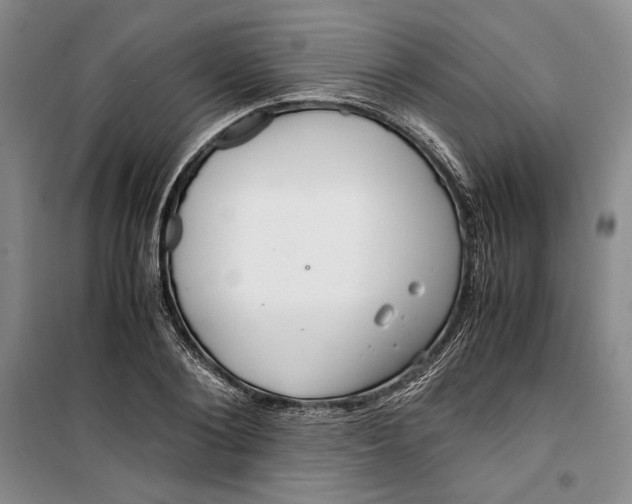 X0000099990884200806131432