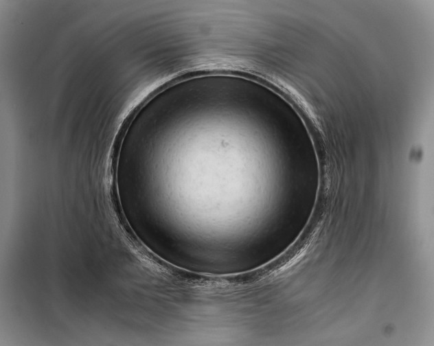 X0000099990885200806131432