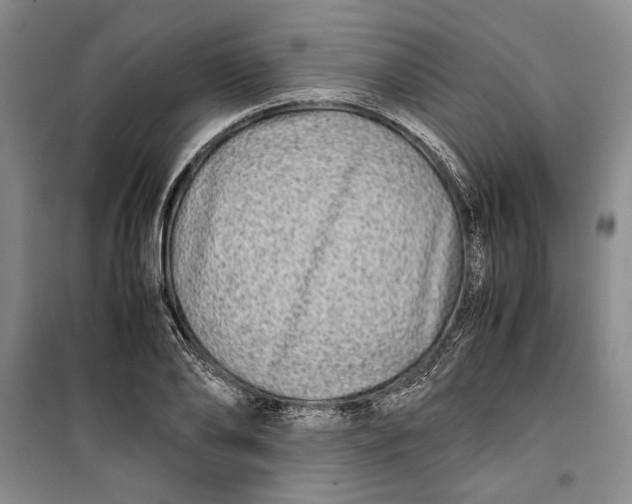 X0000099990886200806131432