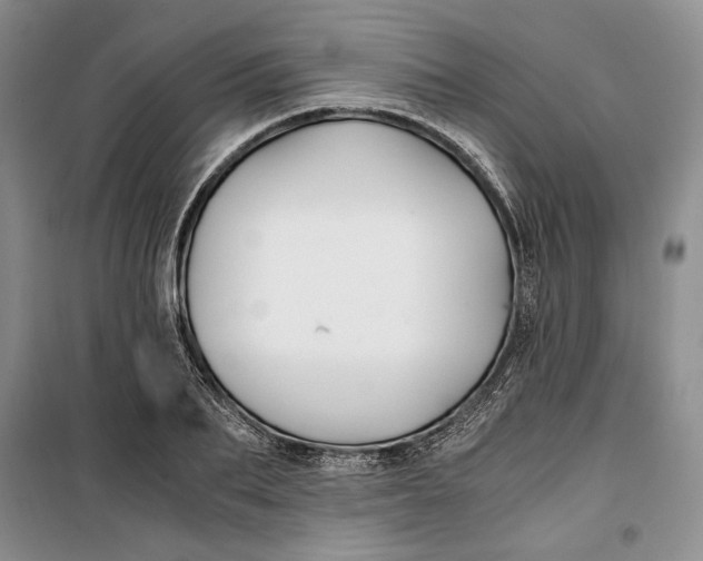 X0000099990887200806131432