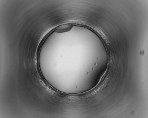 X0000099990888200806131432