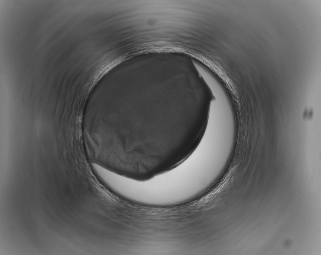 X0000099990889200806131432