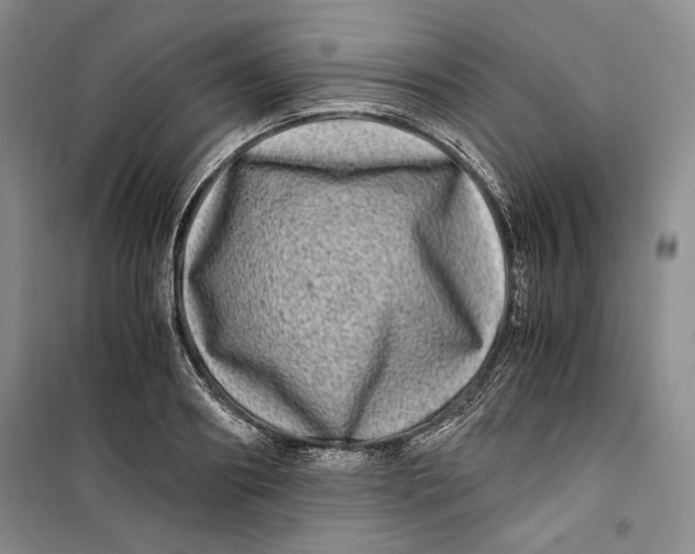 X0000099990890200806131432