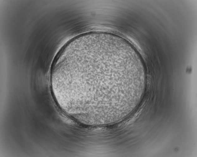 X0000099990891200806131432