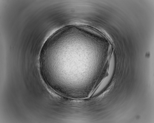 X0000099990893200806131432