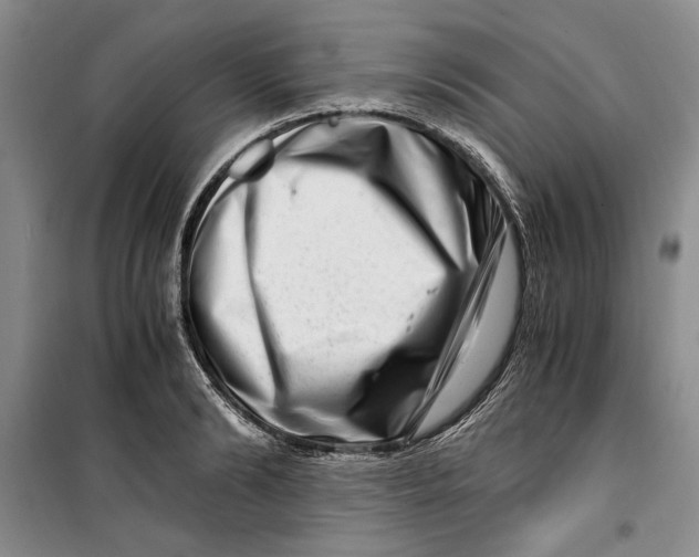 X0000099990894200806131432