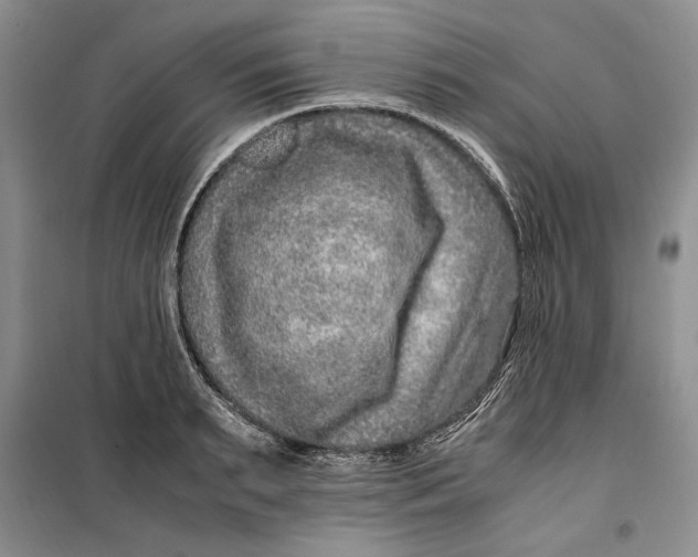 X0000099990895200806131432