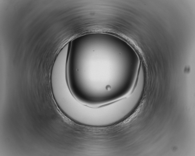 X0000099990897200806131432