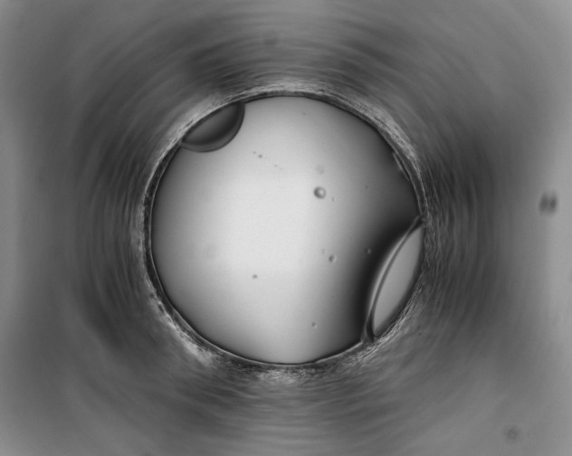 X0000099990898200806131432