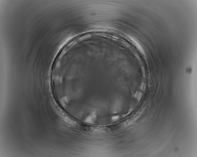 X0000099990899200806131432