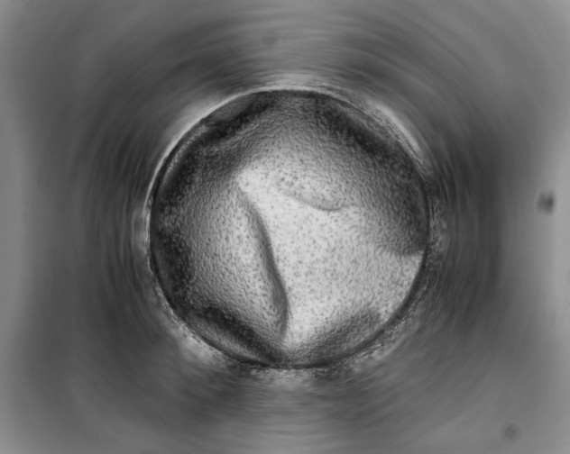 X0000099990900200806131432