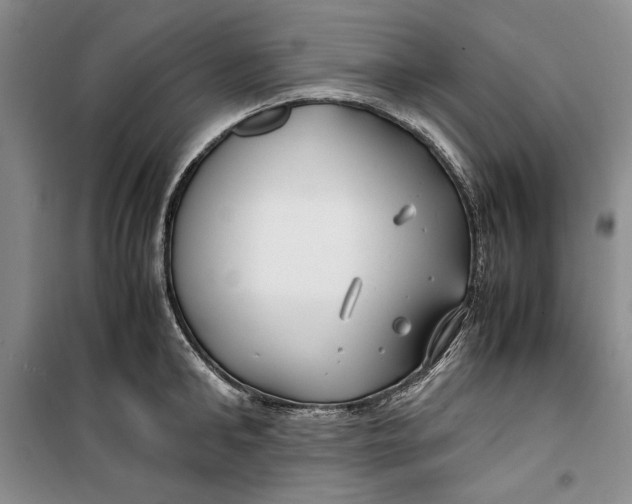 X0000099990902200806131432