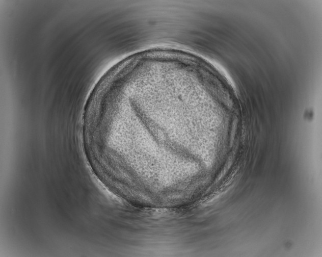 X0000099990903200806131432