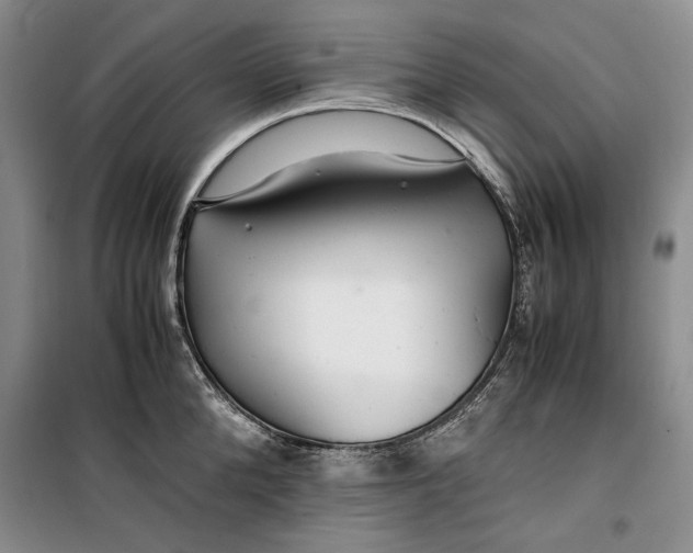 X0000099990904200806131432