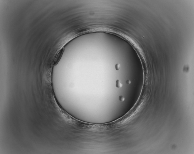 X0000099990905200806131432