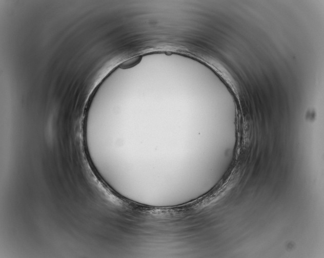 X0000099990906200806131432