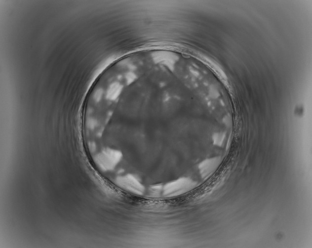 X0000099990907200806131431