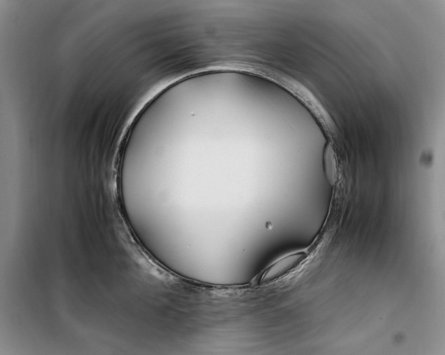 X0000099990908200806131431