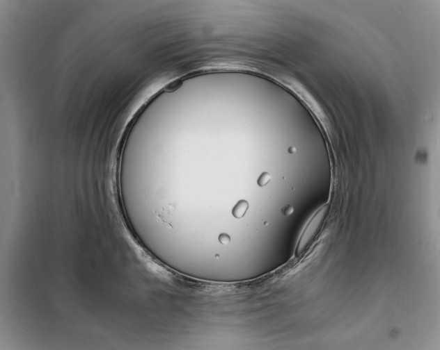 X0000099990909200806131431