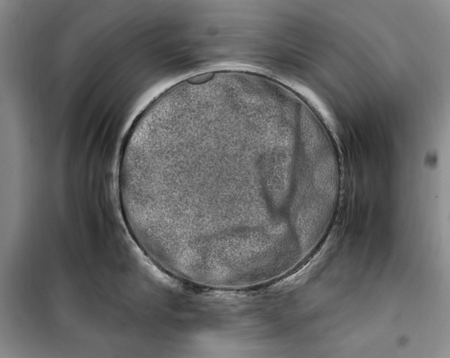 X0000099990910200806131431