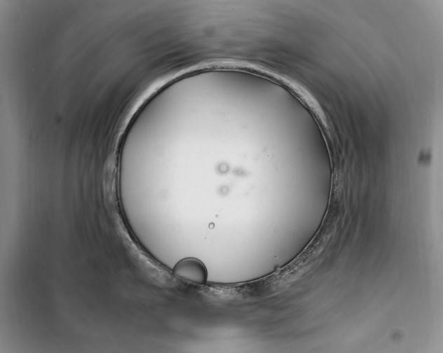 X0000099990911200806131431