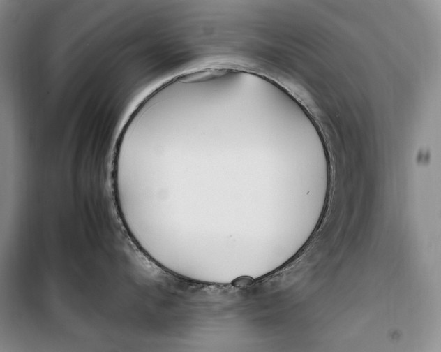 X0000099990912200806131431