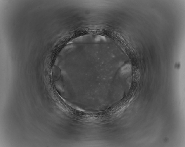 X0000099990913200806131431