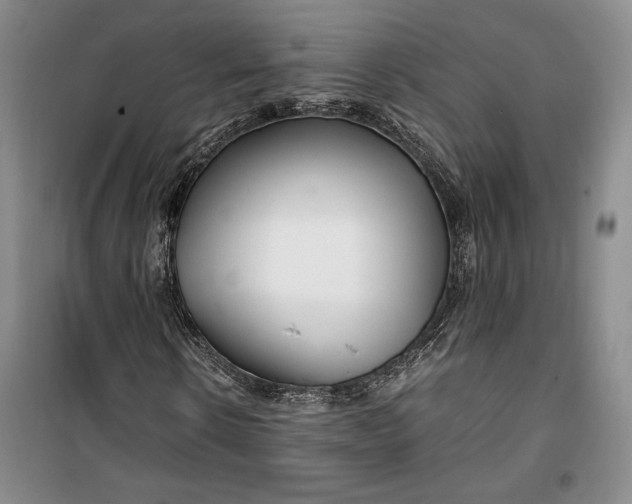 X0000099990914200806131431