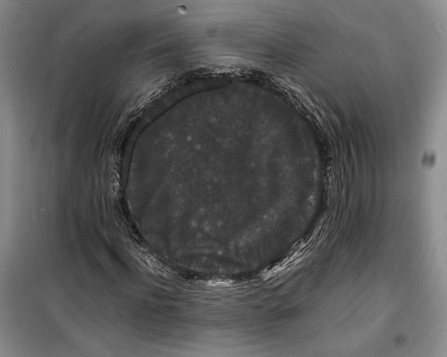 X0000099990916200806131431