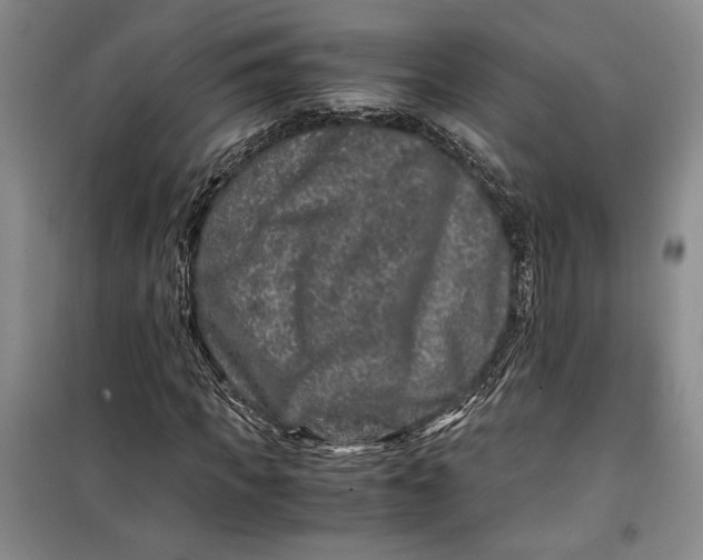 X0000099990917200806131431