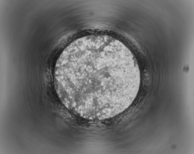 X0000099990918200806131431