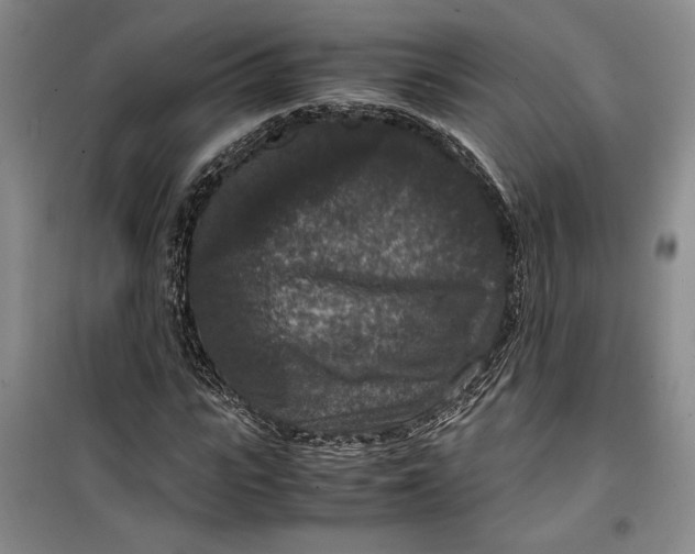 X0000099990919200806131431